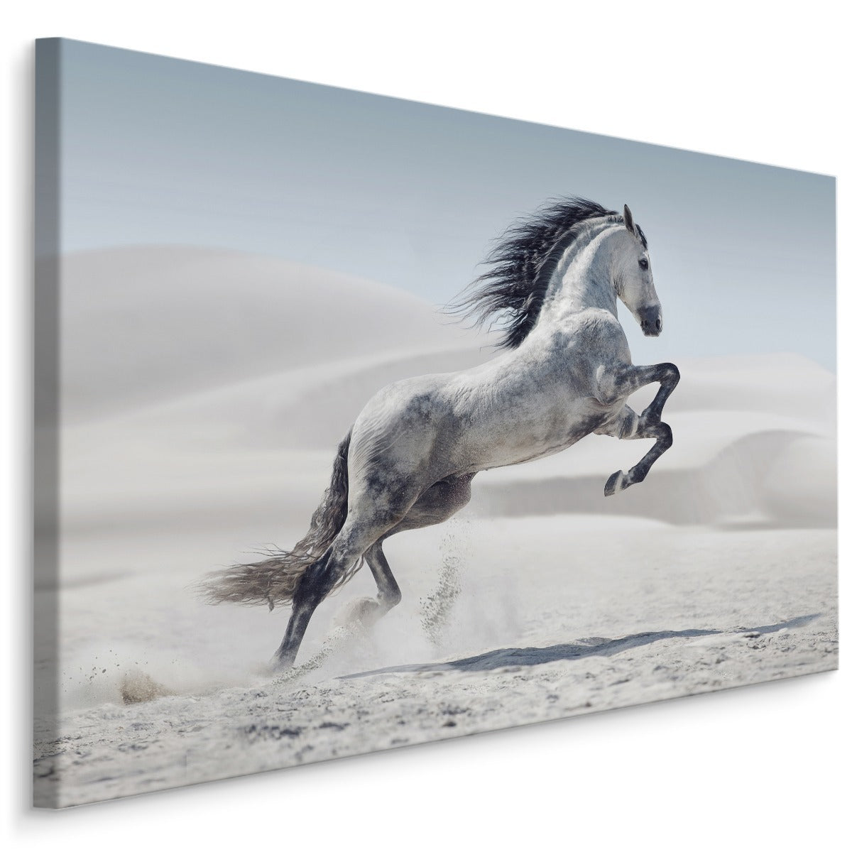 Hest i ørkenen