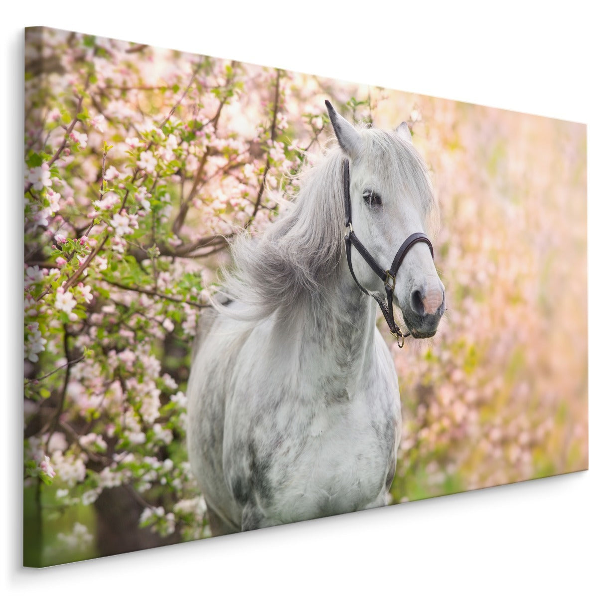 Hest på en bakgrunn av blomster