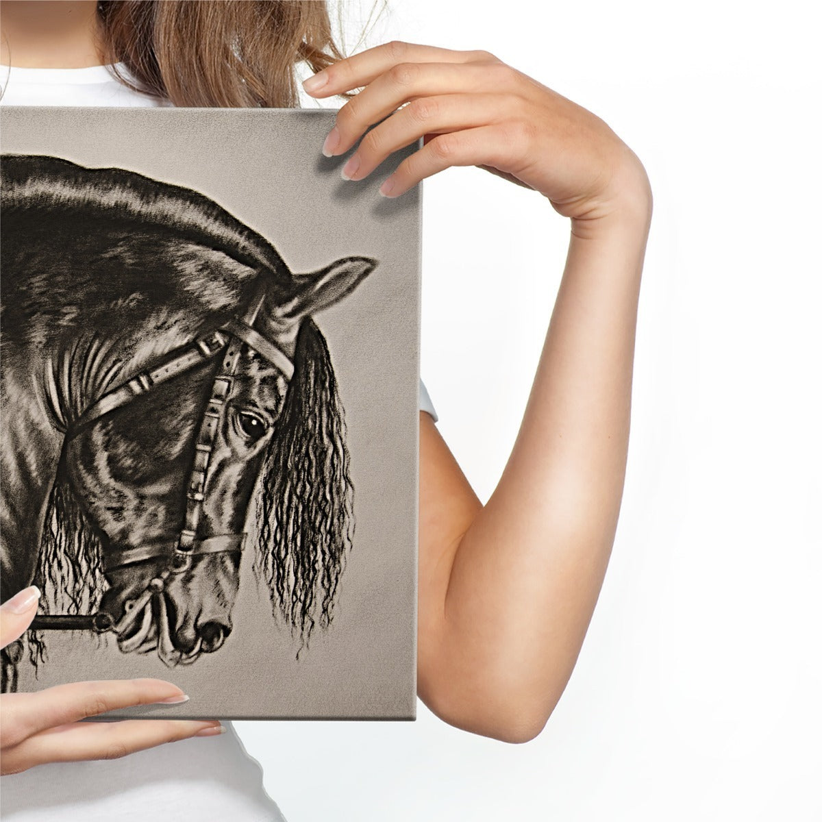 Skissert hest