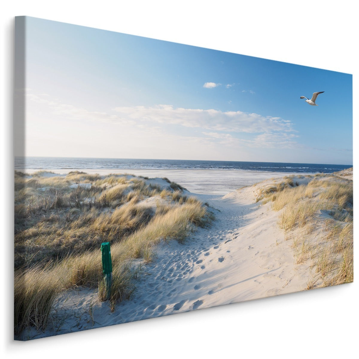 Strand og hav