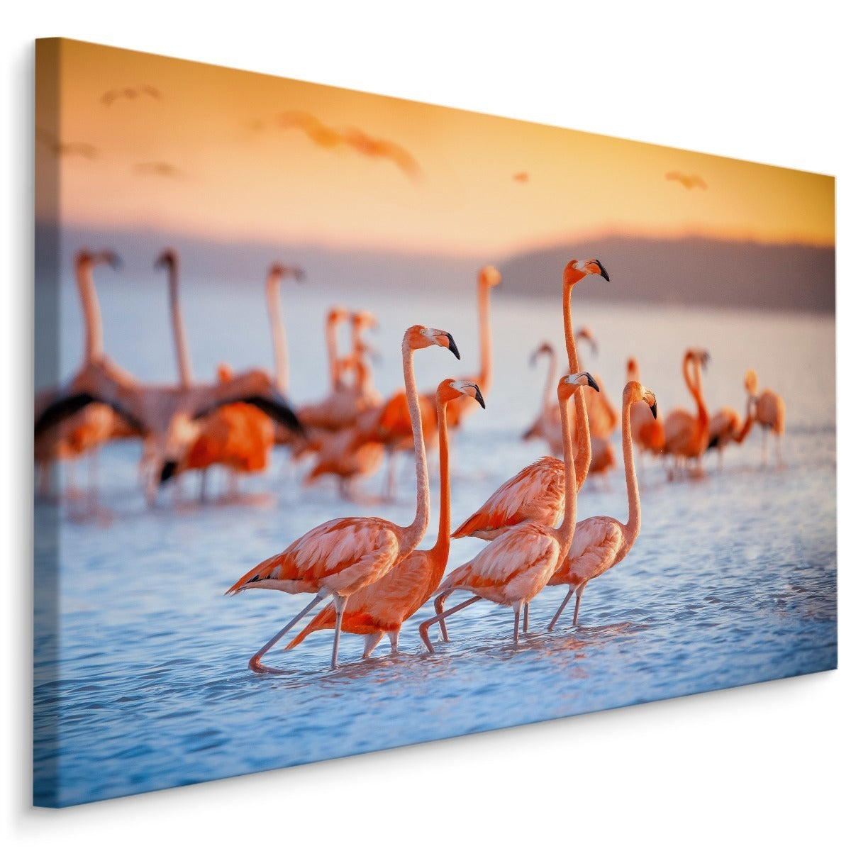 Flamingofugler