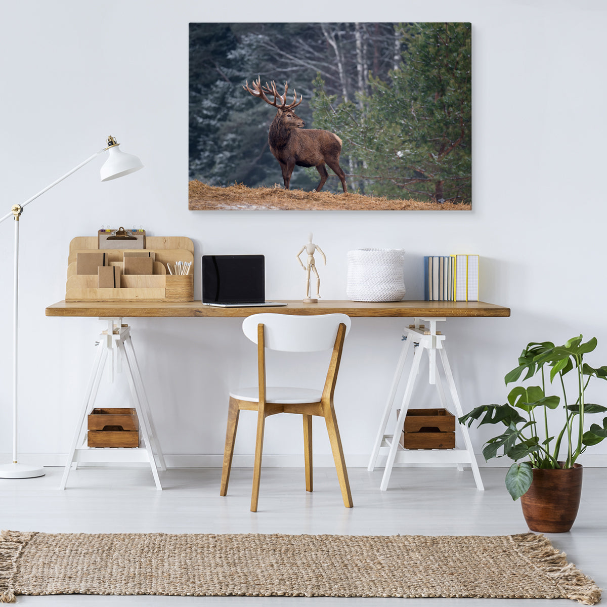 Et staselig rådyr i skogen