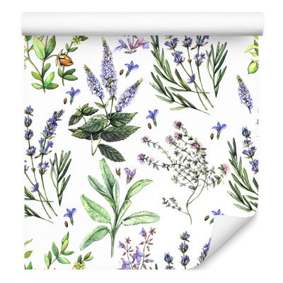 Fargerike Lavendelblomster