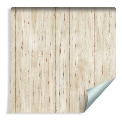 Lyse Treplanker
