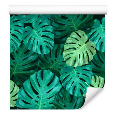 Monstera Forlater