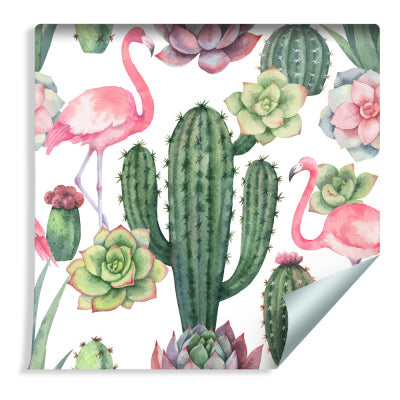 Tropical - Flamingoer, Kaktuser & Sukkulenter