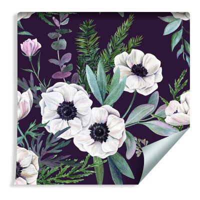 Vakre Blomstrende Anemoner