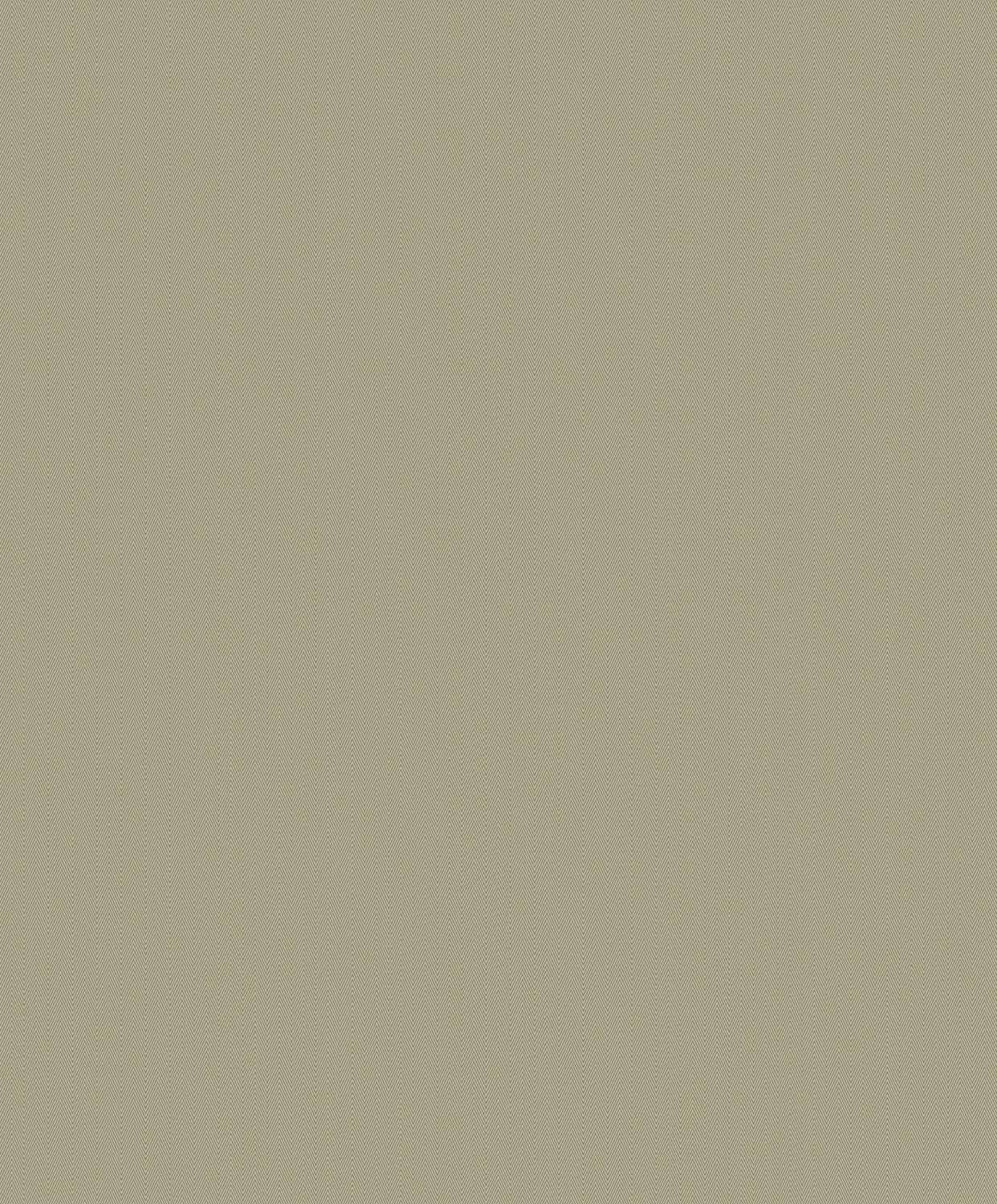 Boutique F-WH3006