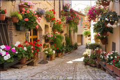 Fototapet Alley Blomster