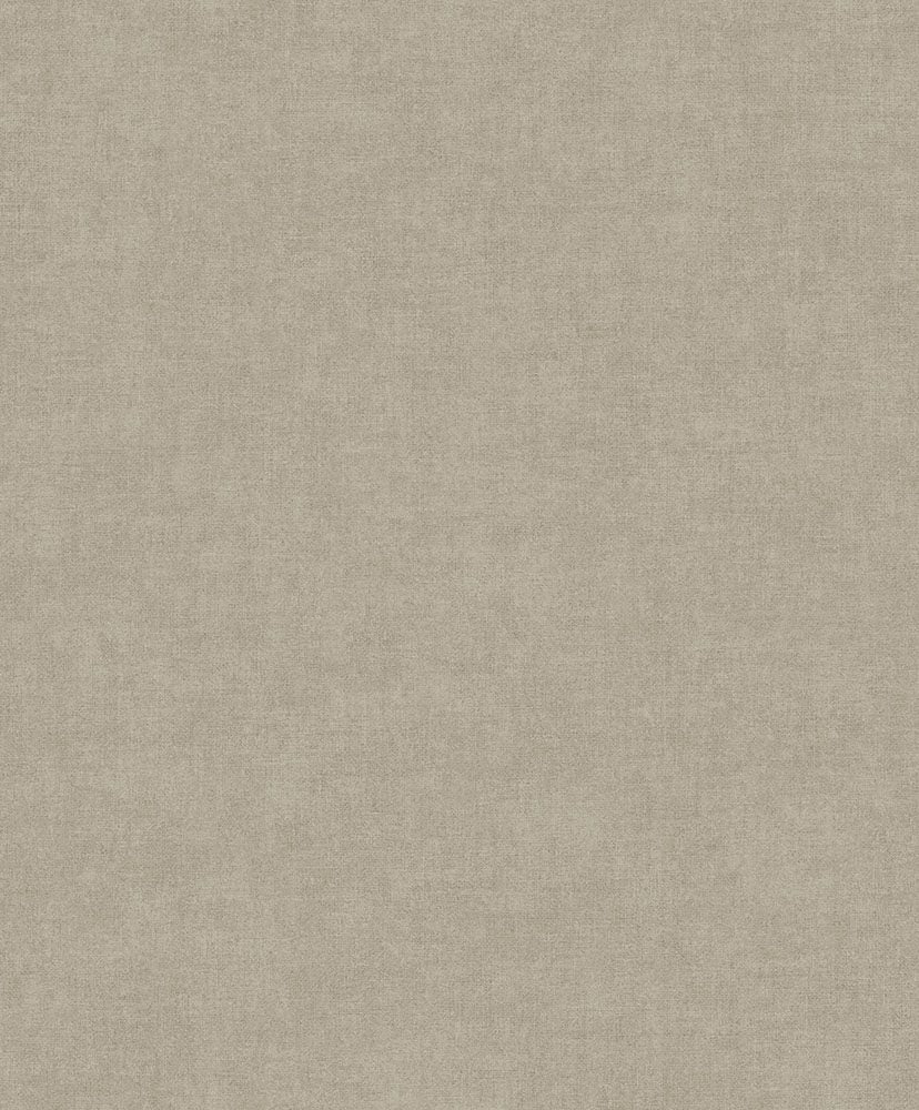 Linum 2 TT10015
