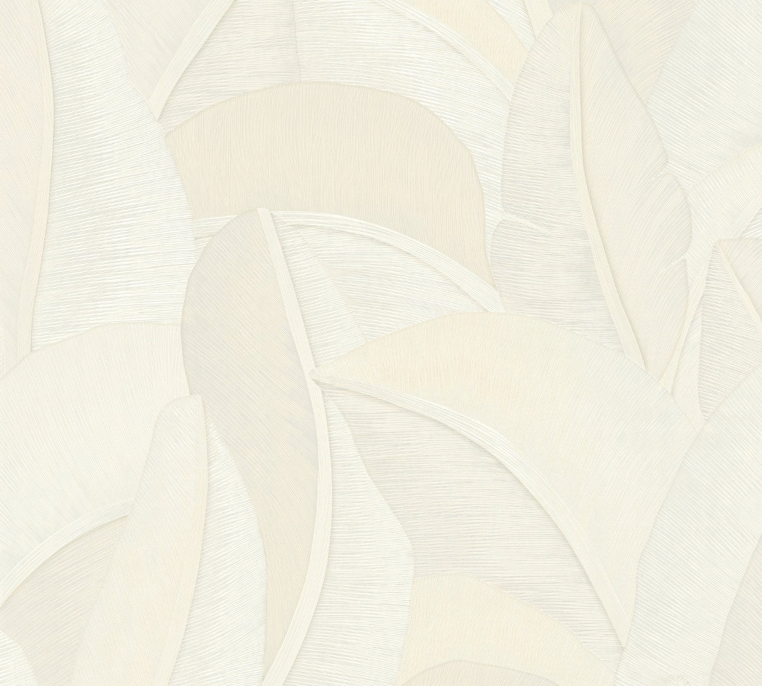 Vibes & Styles 79039-6