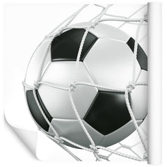 Fototapet 3D-Fotball På Nettet