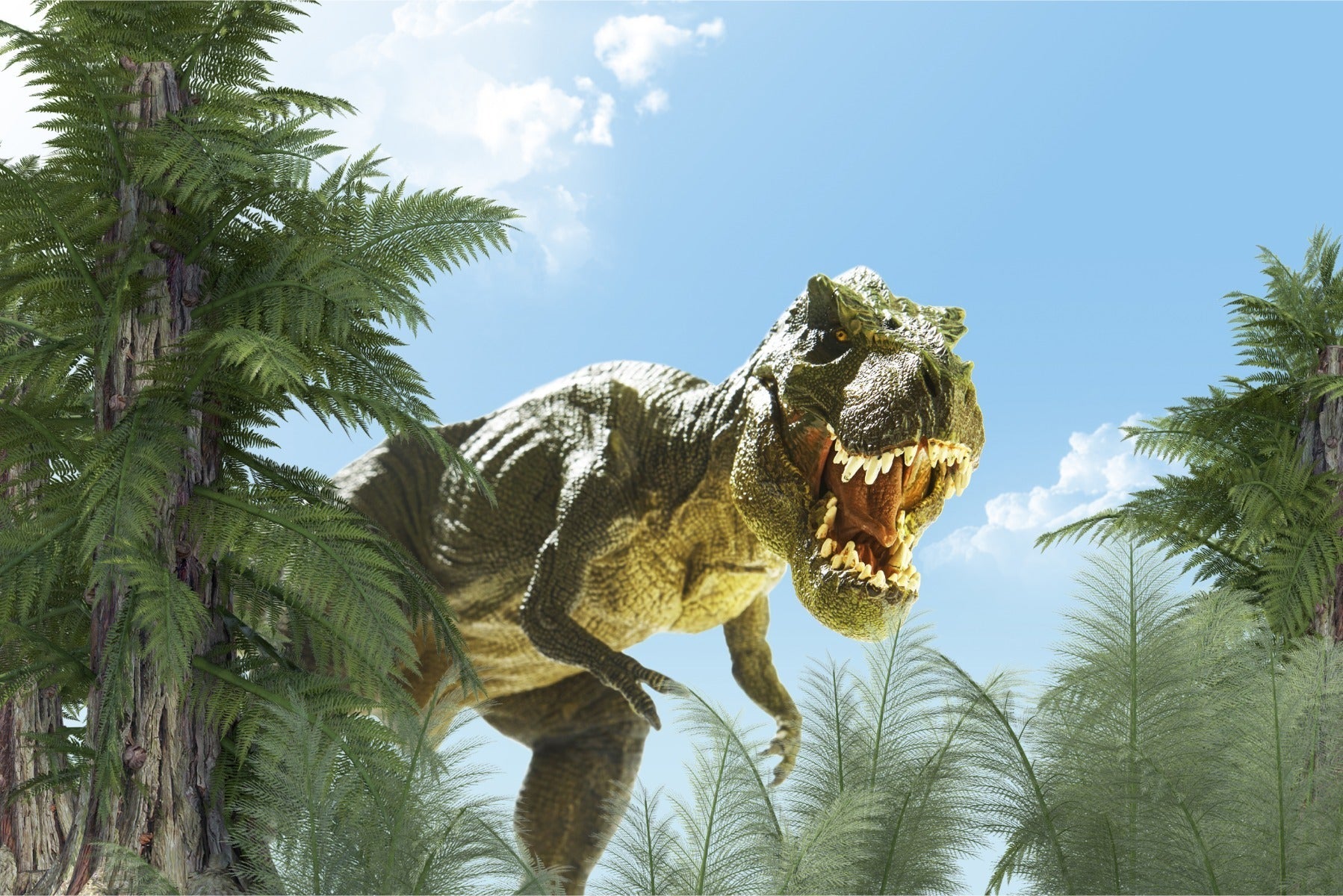 Fototapet Stor T-Rex Dinosaur And The Palm