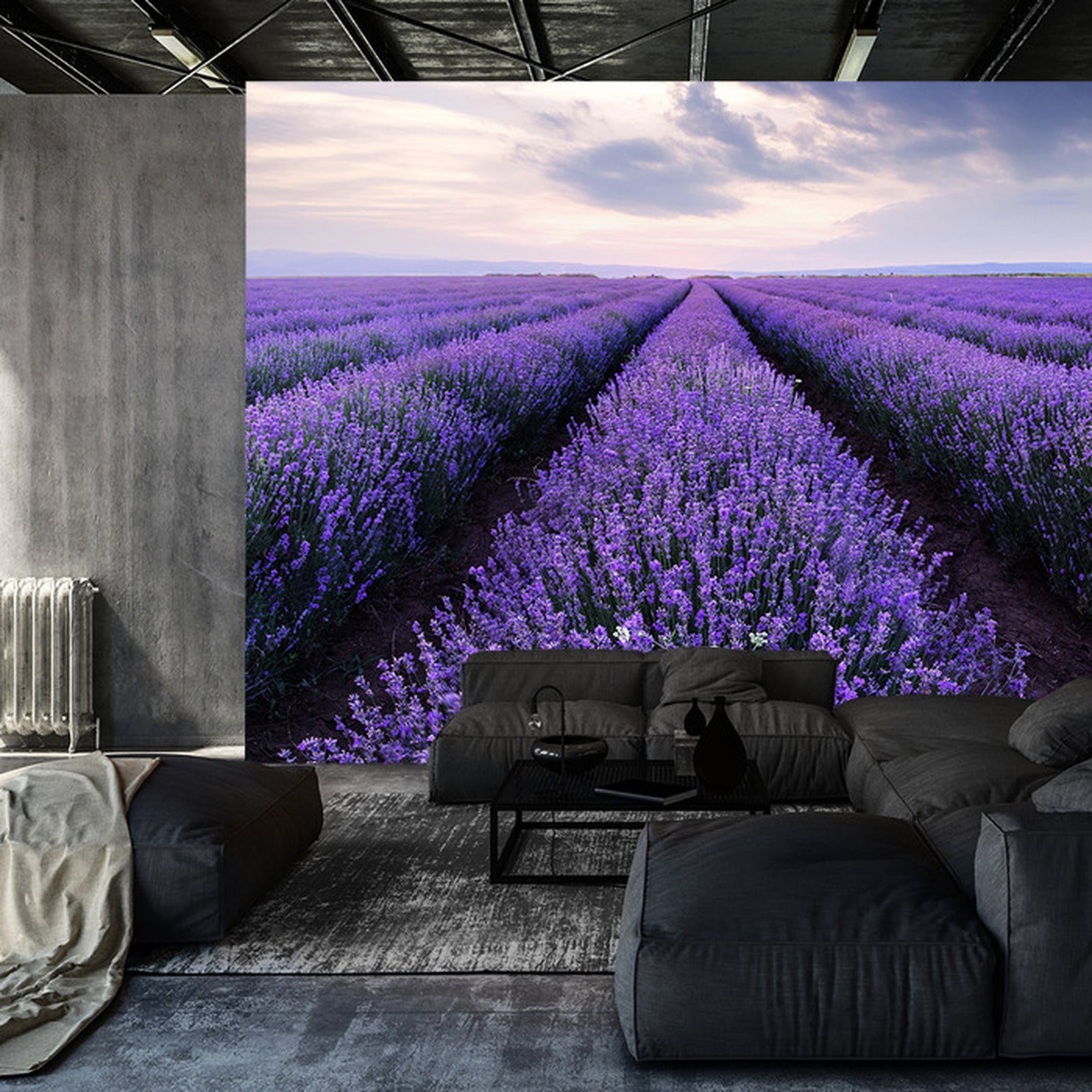 Fototapet lavendel-blomster