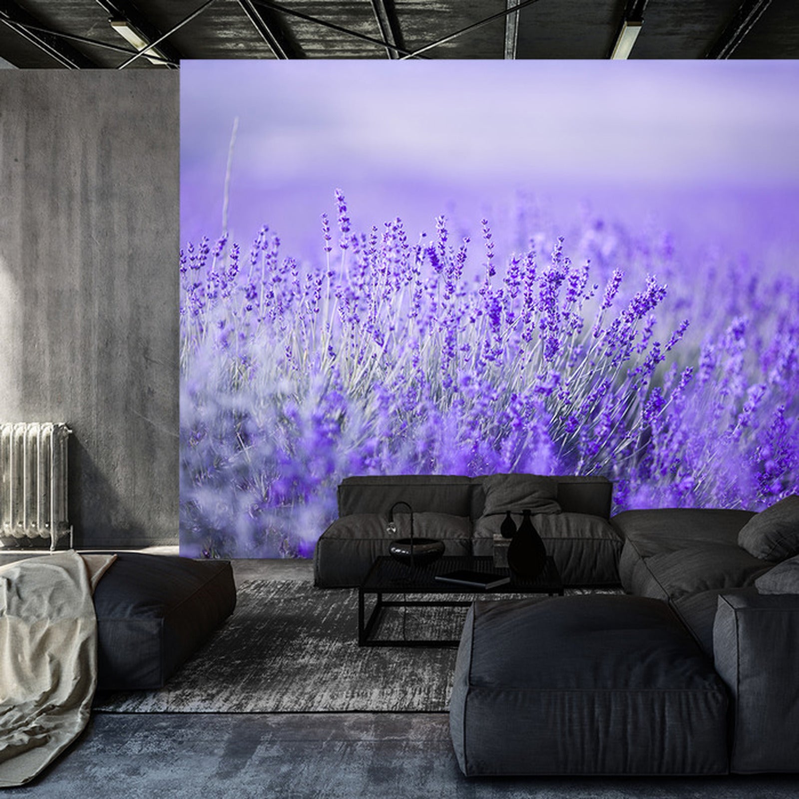 Fototapet Lavendel-blomster 6