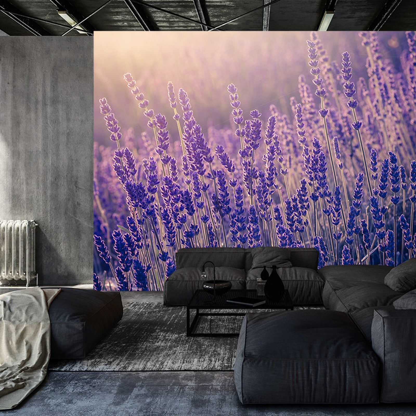 Fototapet lavendel-blomster 3