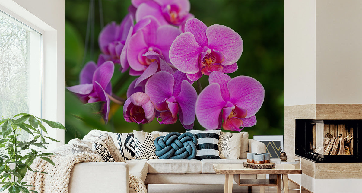 Fototapet Orchid Blossoms 3D