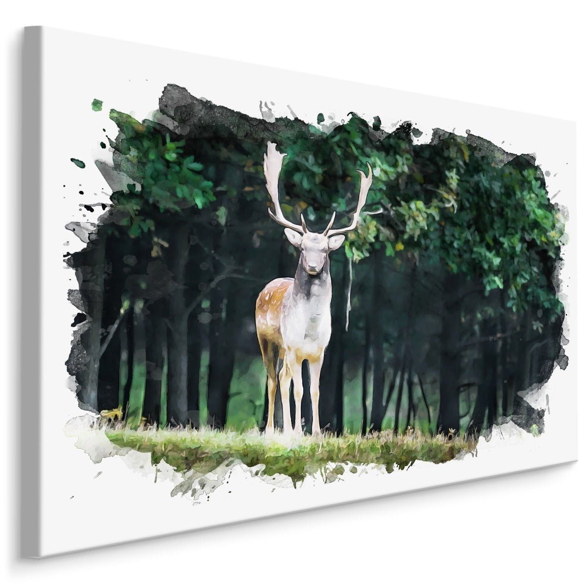 En hjort i skogen malt med akvarell