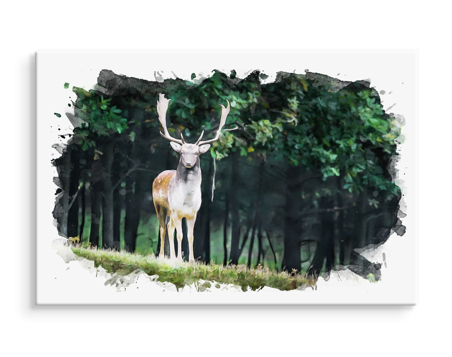 En hjort i skogen malt med akvarell