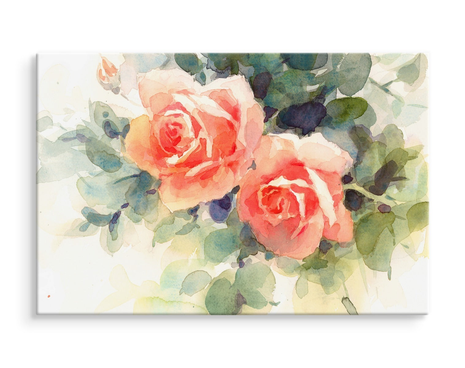 Vakre fargerike roser malt i akvarell