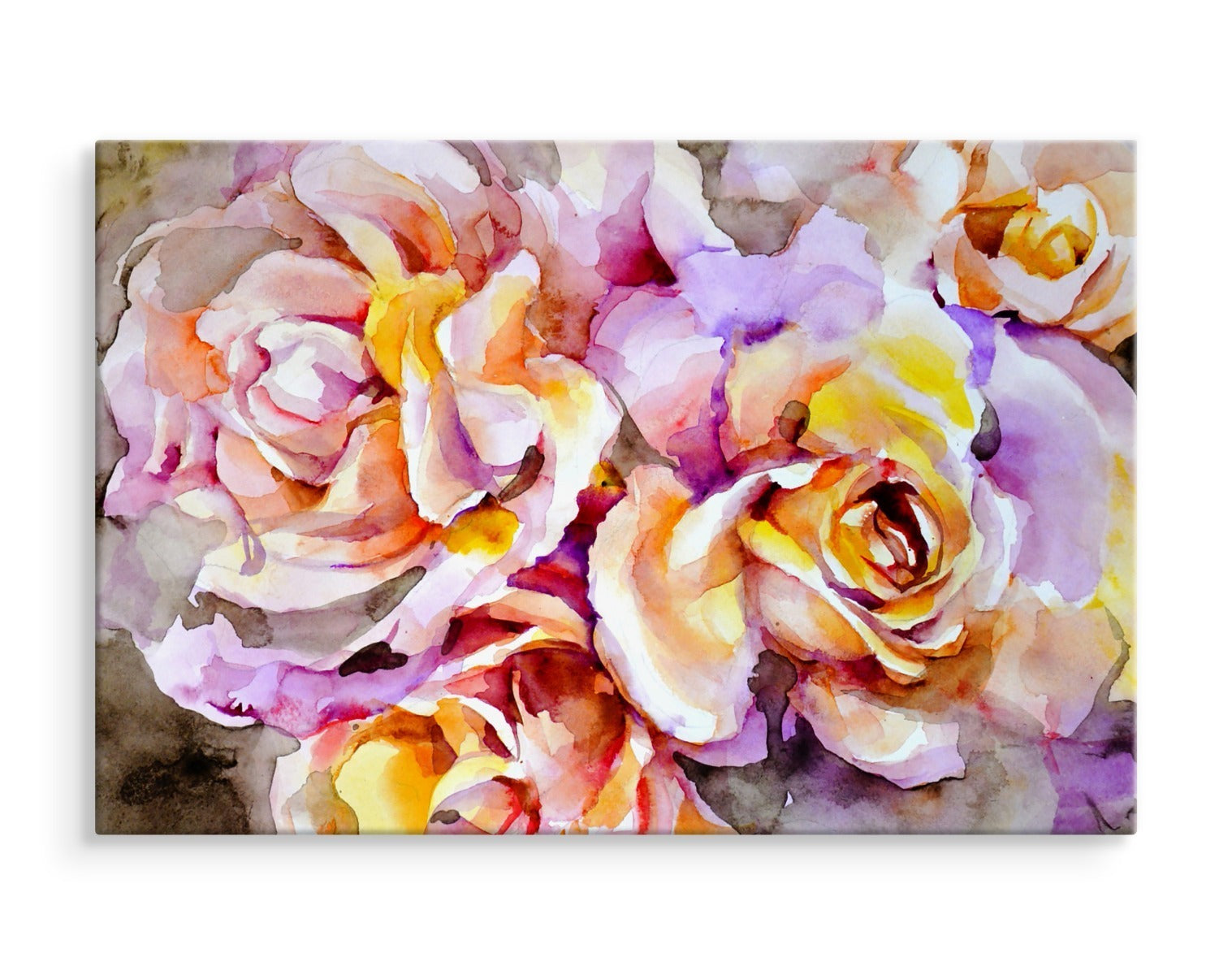 Fargerike roseblomster malt med akvarell