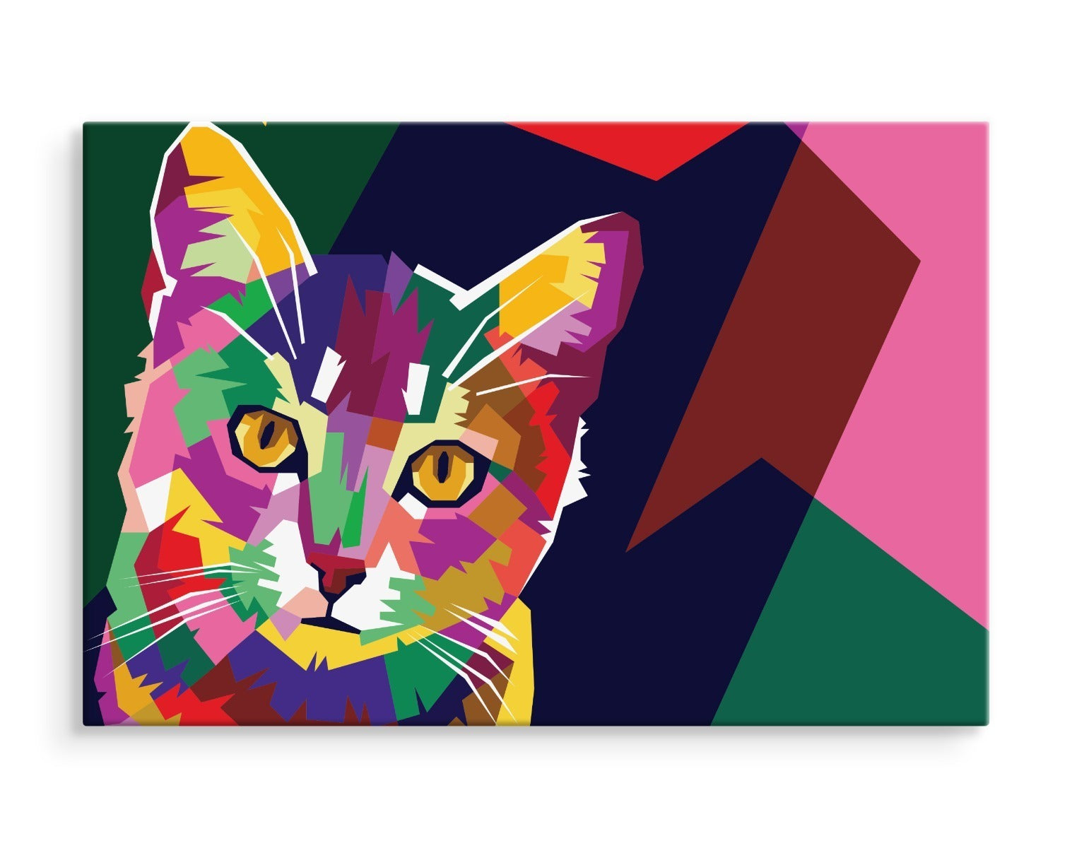 Fargerik grafisk katt