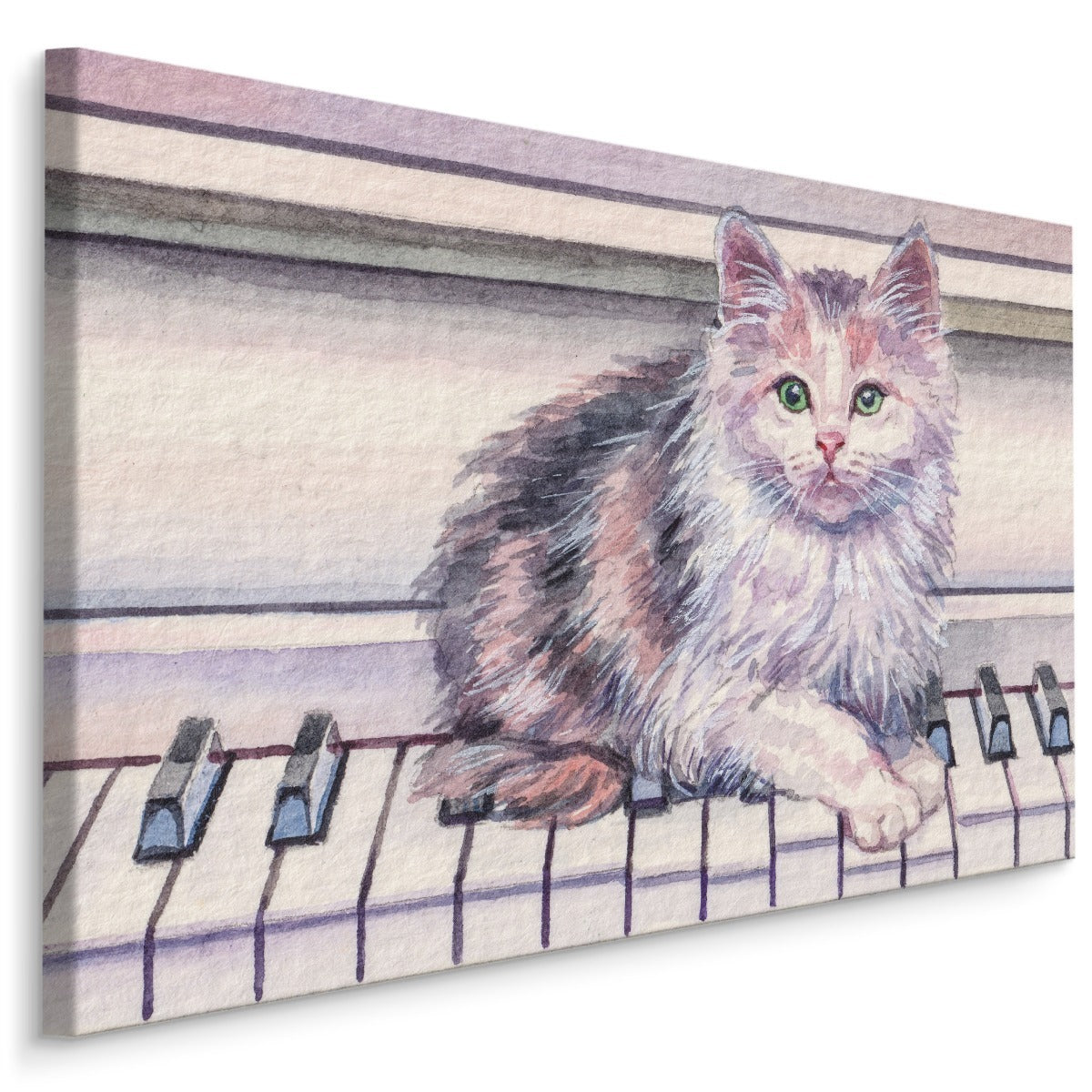 Katt på piano
