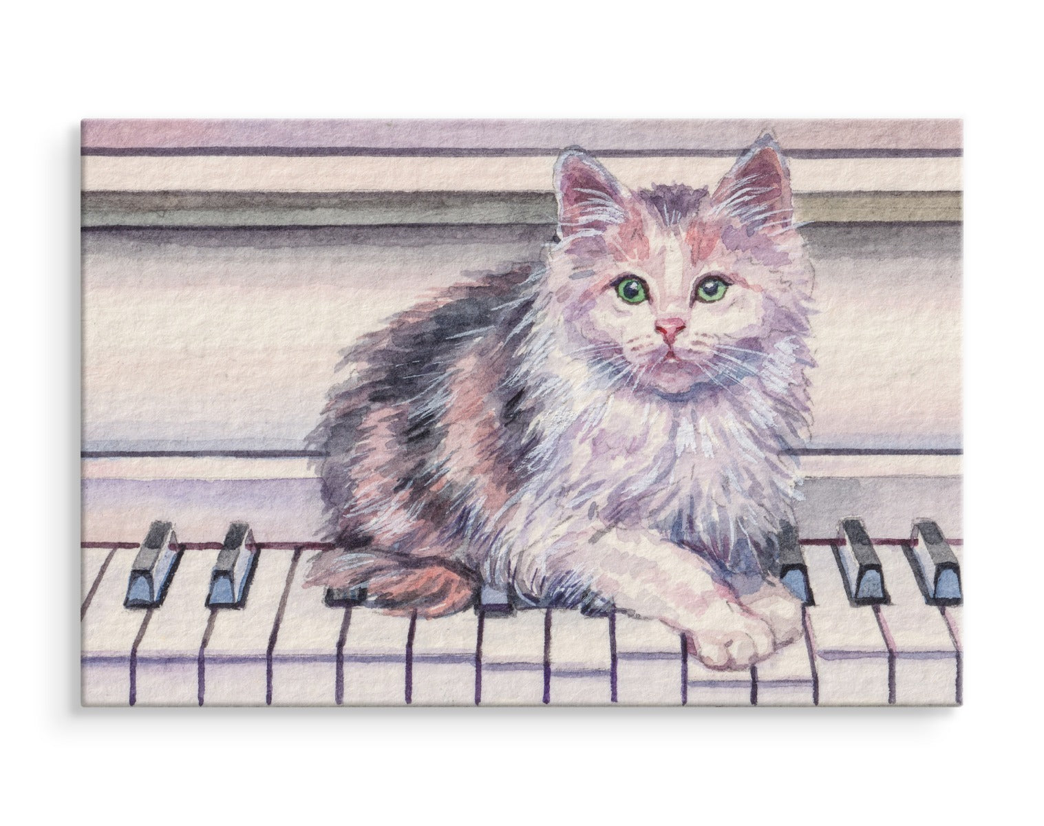 Katt på piano