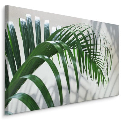 Grønt palmeblad med 3d-effekt