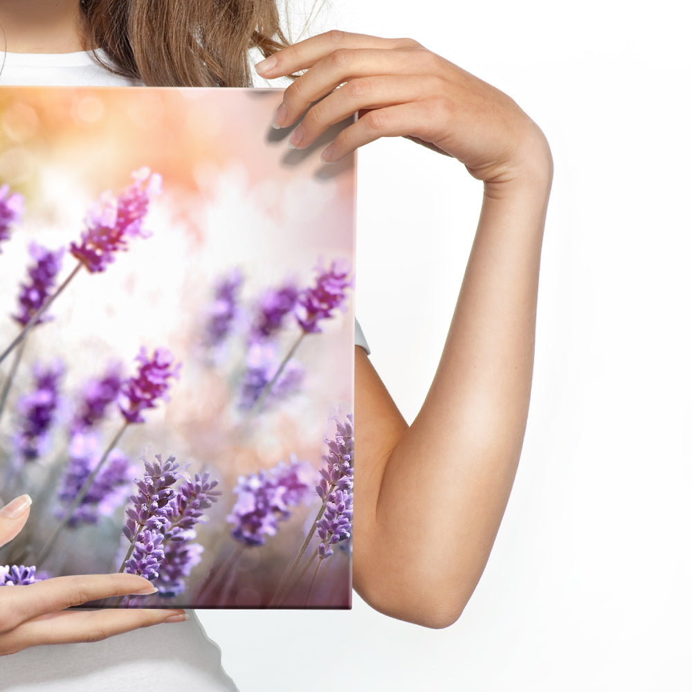 Av blomstrende lavendel