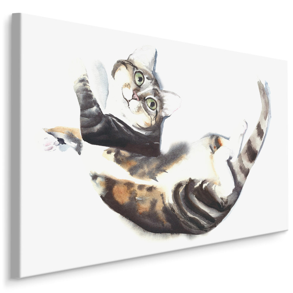 Katt malt med akvarell