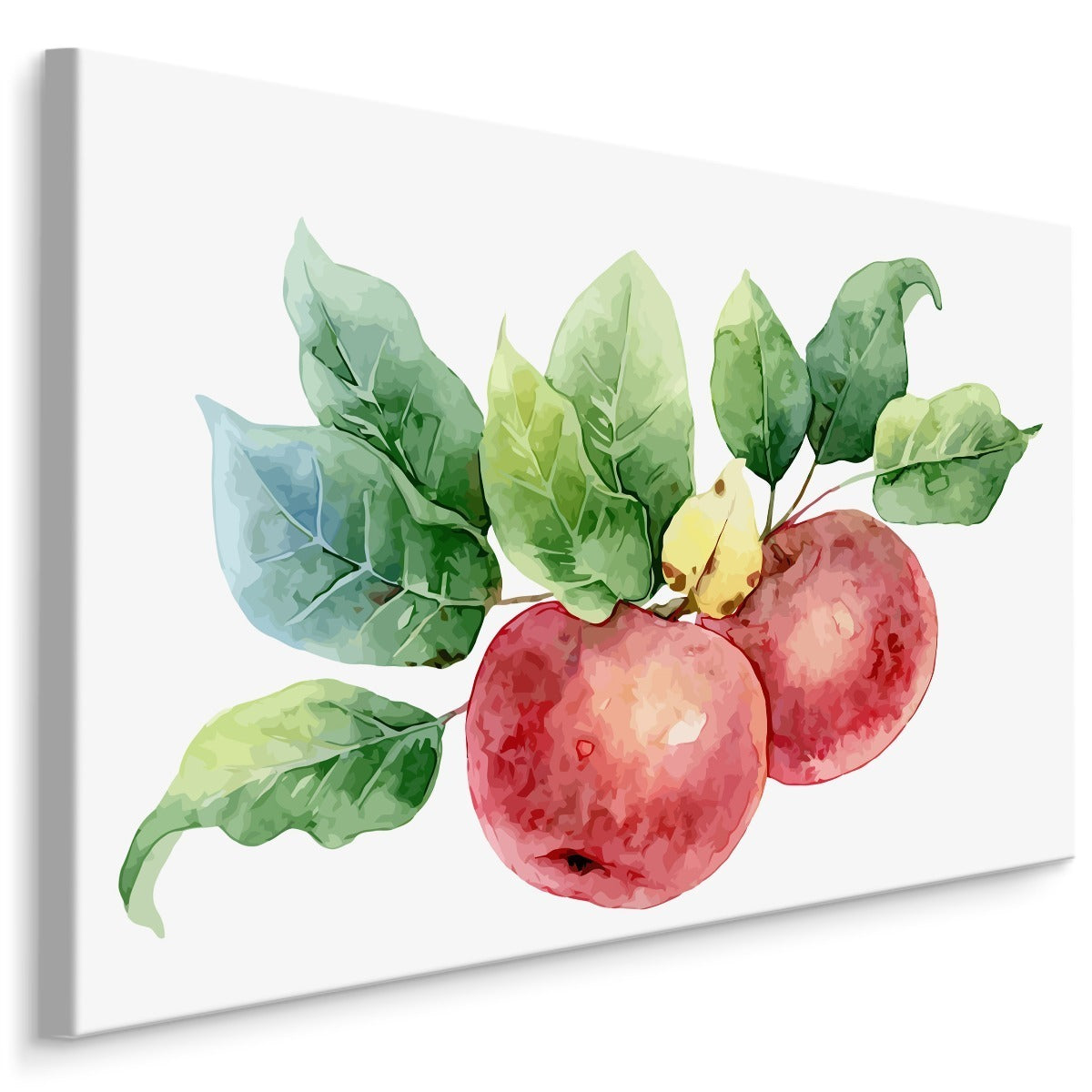 Epler malt med akvarell