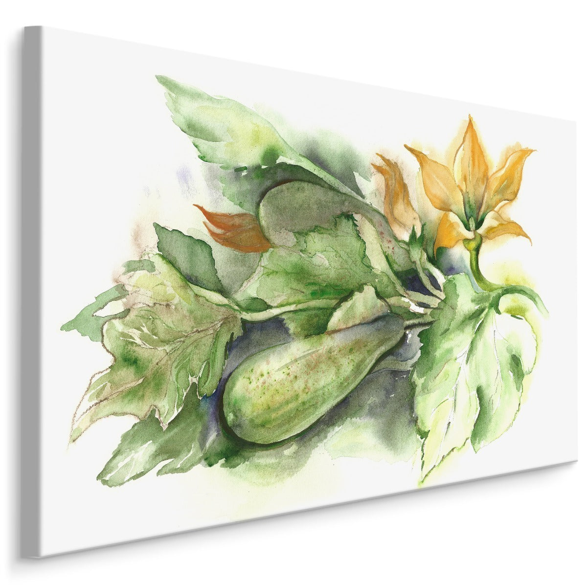 Zucchini med blomster malt med akvarell
