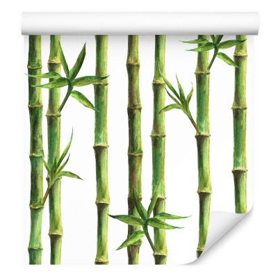 Bambusskog