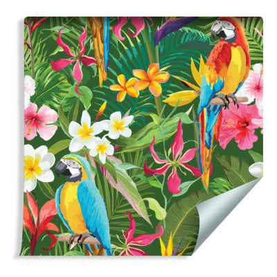 Tropiske Papegøyer Blader & Blomster